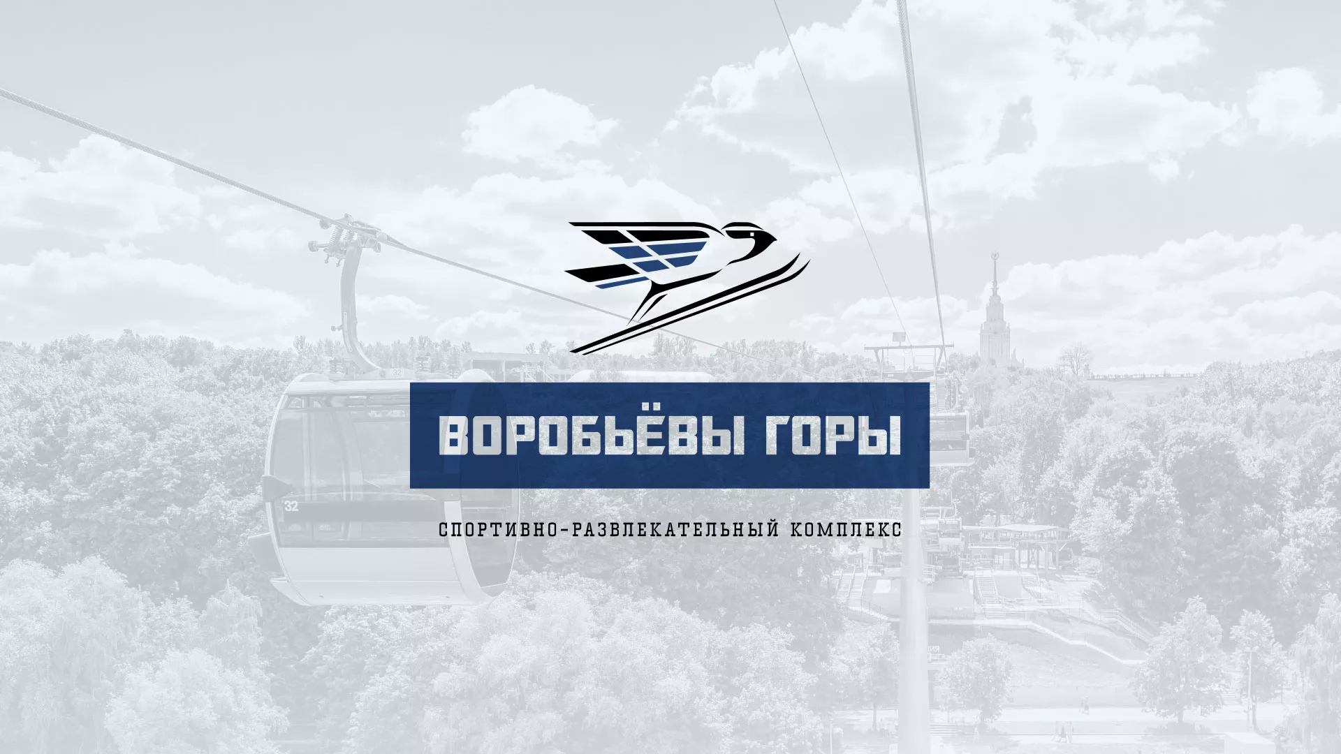 Разработка сайта в Котово для спортивно-развлекательного комплекса «Воробьёвы горы»